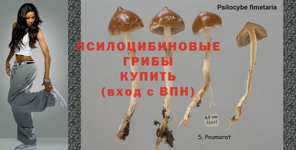 2c-b Новодвинск