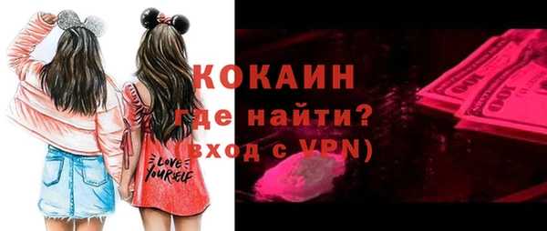 дмт Няндома