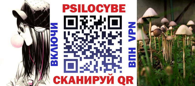 Галлюциногенные грибы GOLDEN TEACHER  где купить наркотик  Зеленоградск 